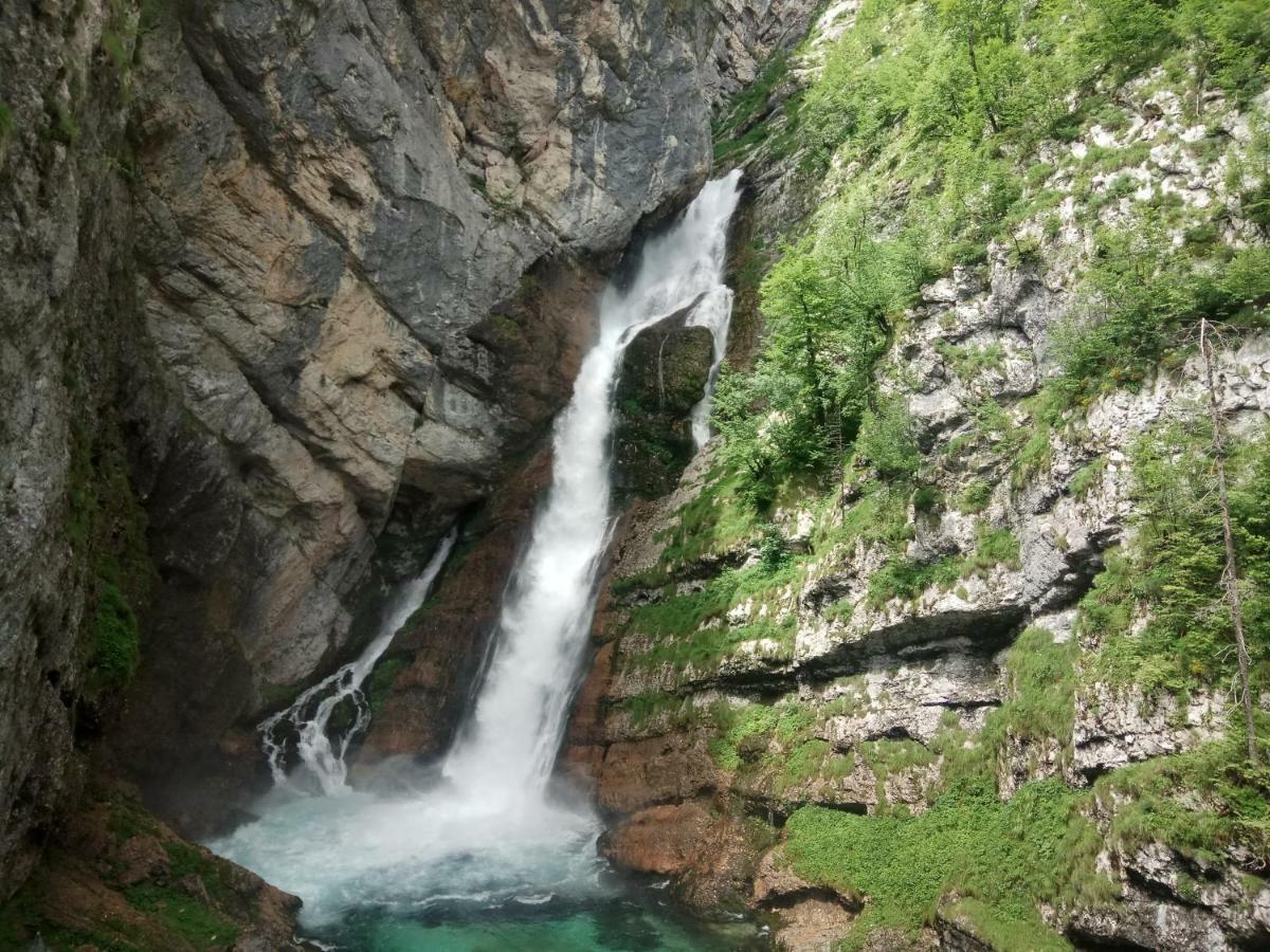 House Budkovic Bohinj Luaran gambar